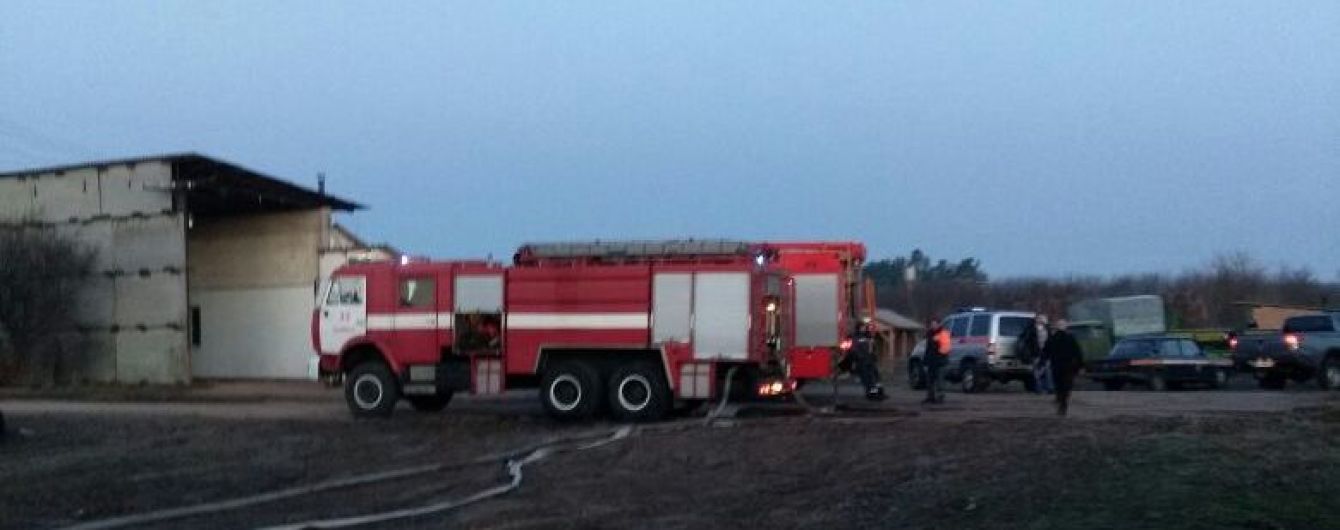 На Киевщине в пожаре погибли четверо лошадей