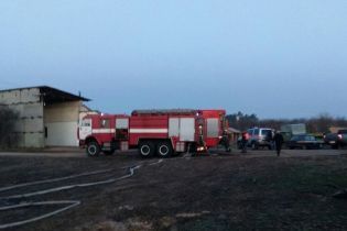 На Киевщине в пожаре погибли четверо лошадей