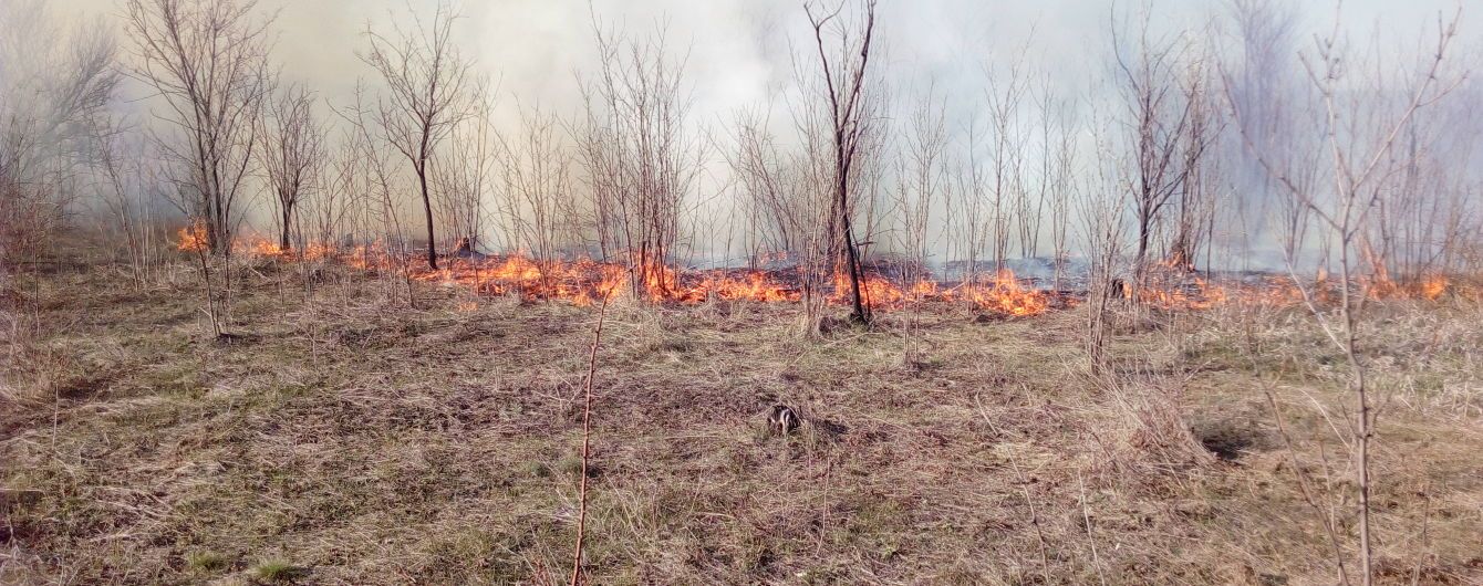 Синоптики попередили українців про найвищий рівень пожежної небезпеки на травневі свята