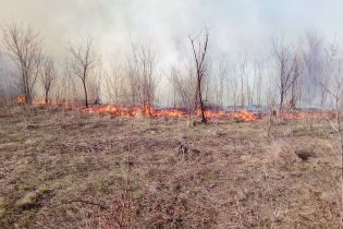 Синоптики попередили українців про найвищий рівень пожежної небезпеки на травневі свята