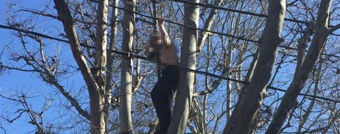 В Одесской области патрульные стащили с дерева и спасли самоубийцу