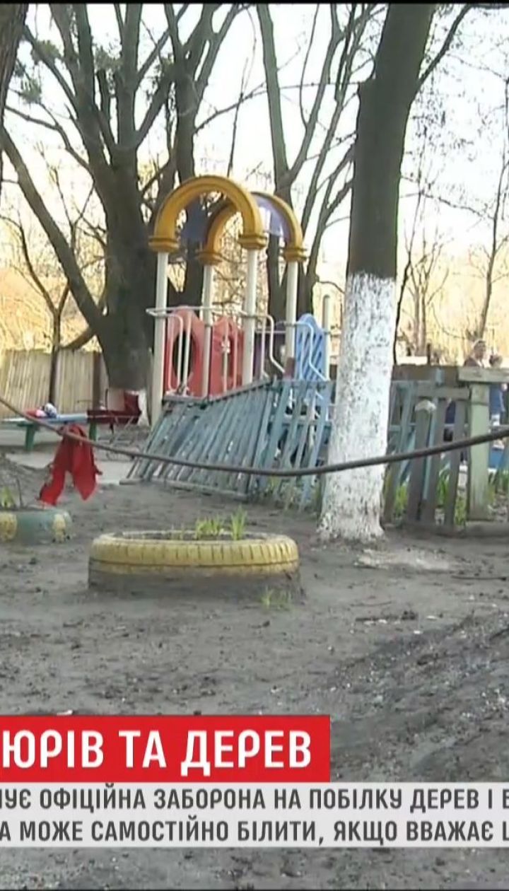 Попри офіційну заборону, влада продовжує масово білити дерева та бордюри