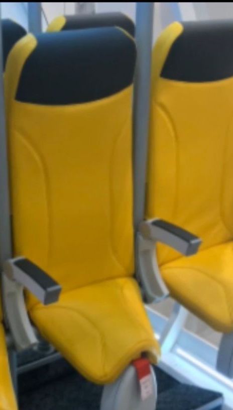 Переліт стоячи: італійська компанія запропонувала нові крісла для літаків-лоукостерів