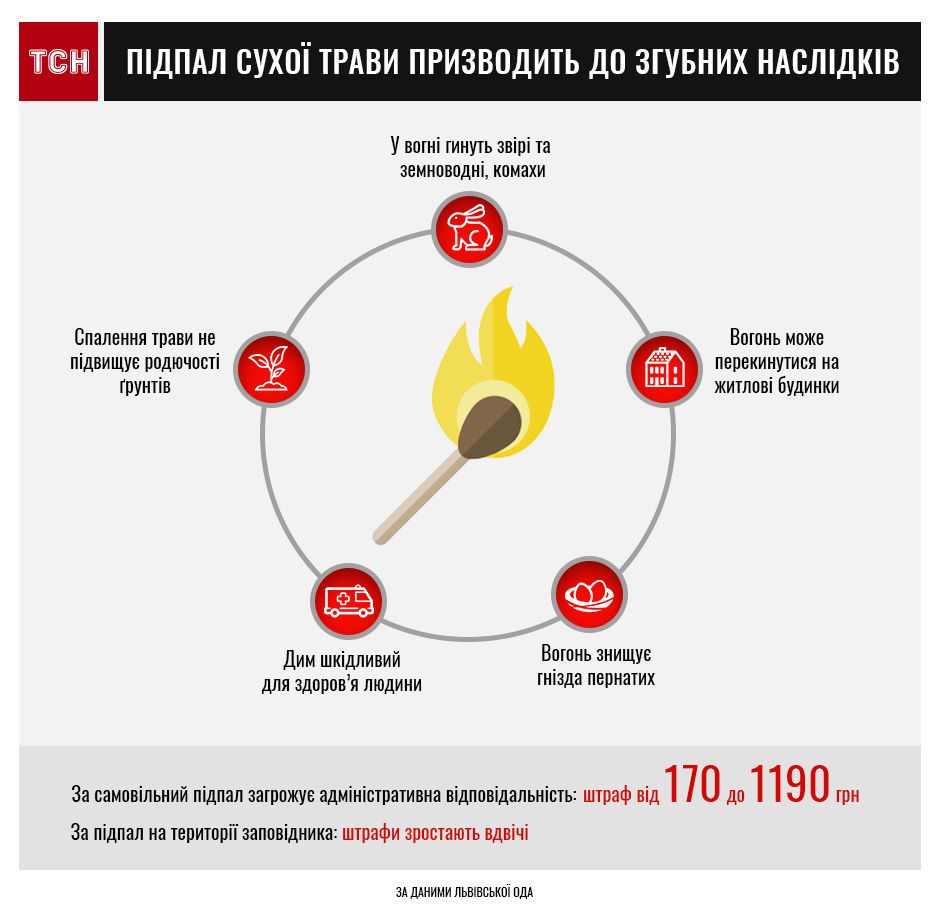 Підпал сухої трави призводить до згубних наслідків