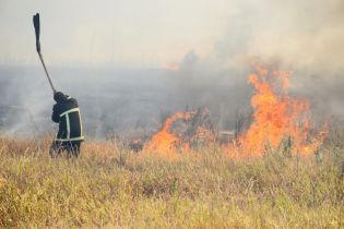 Супрун рассказала об опасности и вреде сожжения сухостоя