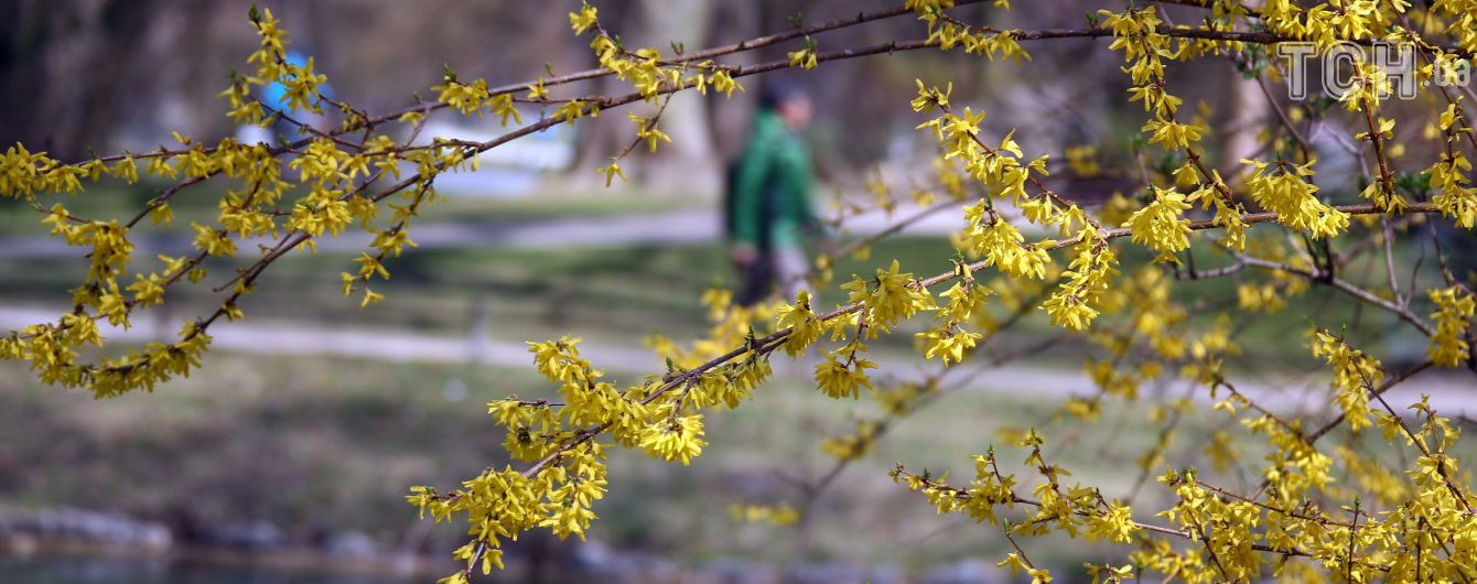 Дощі та заморозки. Синоптики попередили про похолодання в Україні