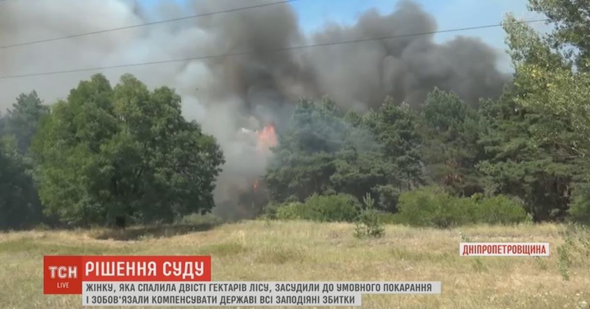 На Дніпропетровщині бабці присудили 220 тисяч штрафу за випадково спалені 200 га лісу