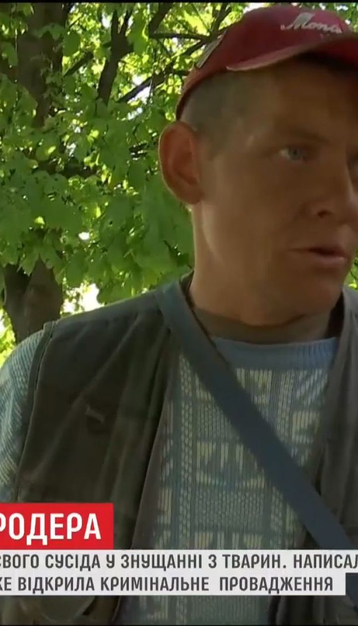 Жителі будинку в Одесі звинувачують своїх сусідів у знущанні та вбивстві тварин