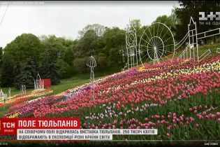 Певческое поле покрылось тысячами тюльпанов с композициями "Вокруг света"
