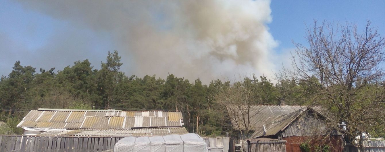 Вогонь і стовпи диму. Під Конотопом лісова пожежа нажахала жителів села