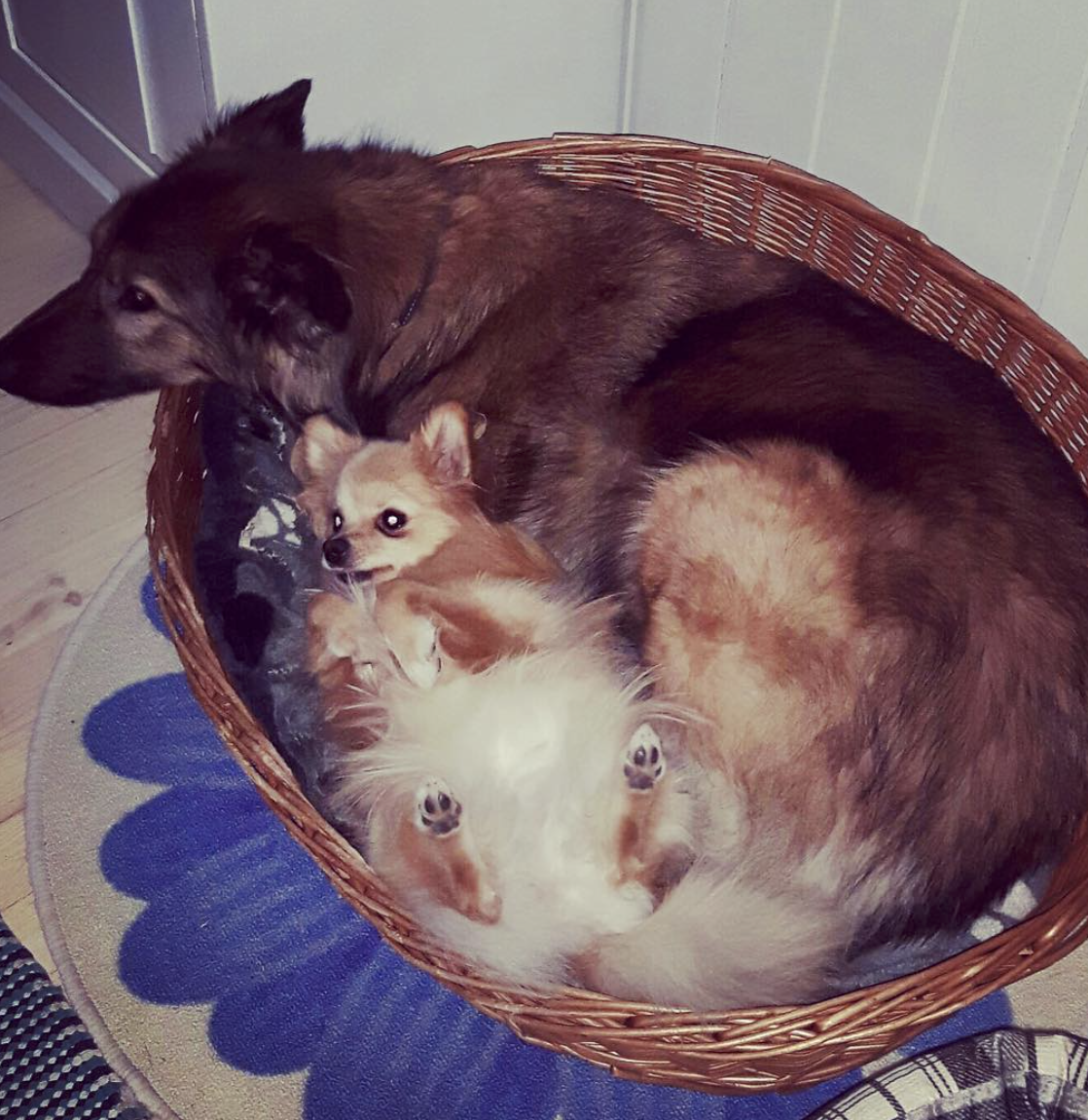 Instagram Саары Аальто_26