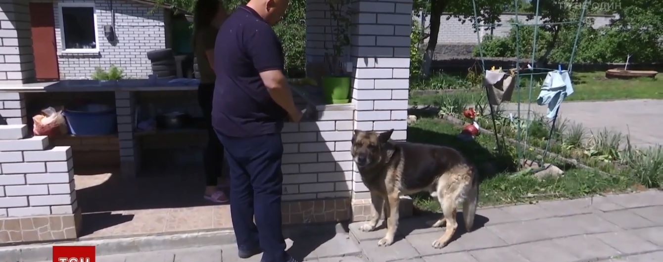 На Хмельниччині вівчарка врятувала людей від гадюки