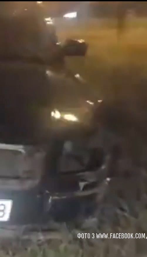 Водій через свого кота потрапив у ДТП