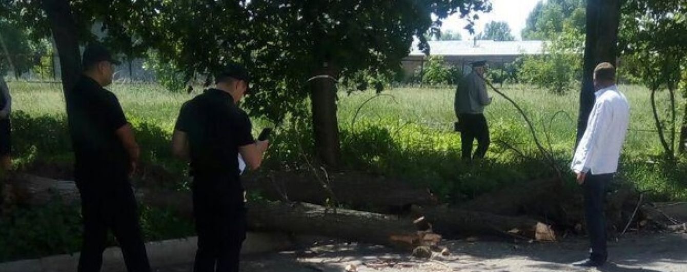 В центре Черкасс на школьников упало дерево