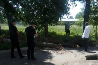 В центре Черкасс на школьников упало дерево