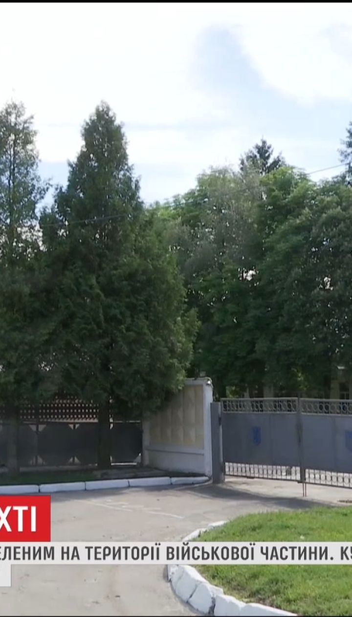 На Львовщине нашли мертвого военного с двумя огнестрельными ранениями