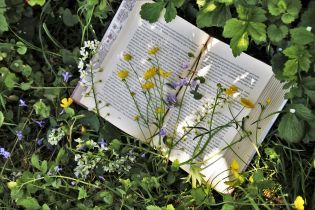 На що звернути увагу на "Книжковому Арсеналі". Підбірка видань