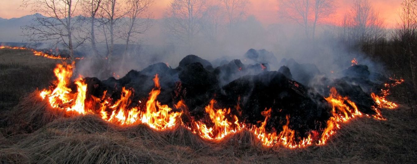 На Житомирщине супруги сгорели заживо во время сжигания сухостоя