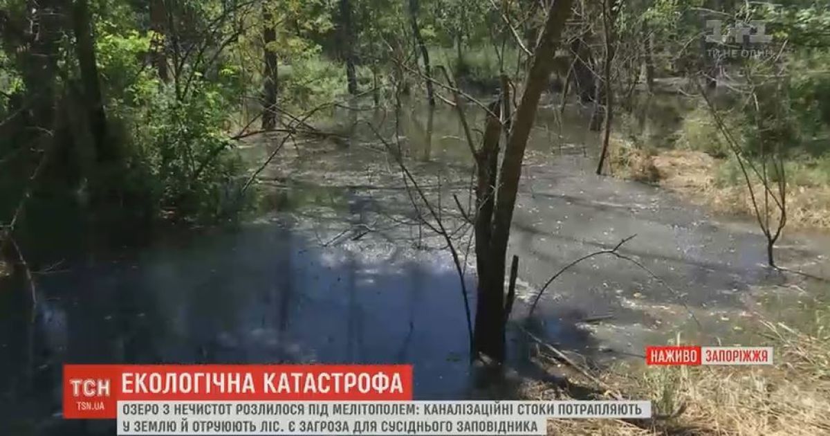 Из-за украденного коллектора озеро из фекалий подбирается к мировому памятнику "Каменная могила"