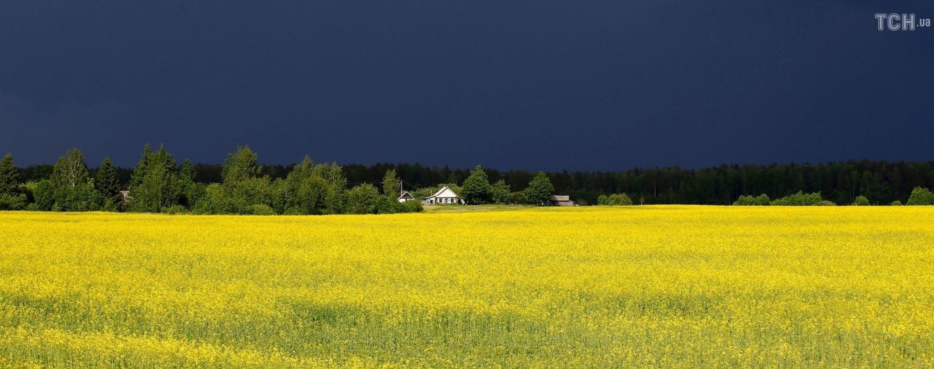 В Україні пройдуть грозові дощі. Прогноз погоди на 5 червня