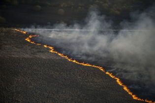 "600 при норме в 20": пожарным возле ЧАЭС посоветовали поскорей выбрасывать свою обувь после выхода из леса