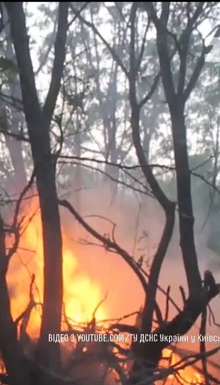 У Чорнобилі рятувальники повністю загасили пожежу