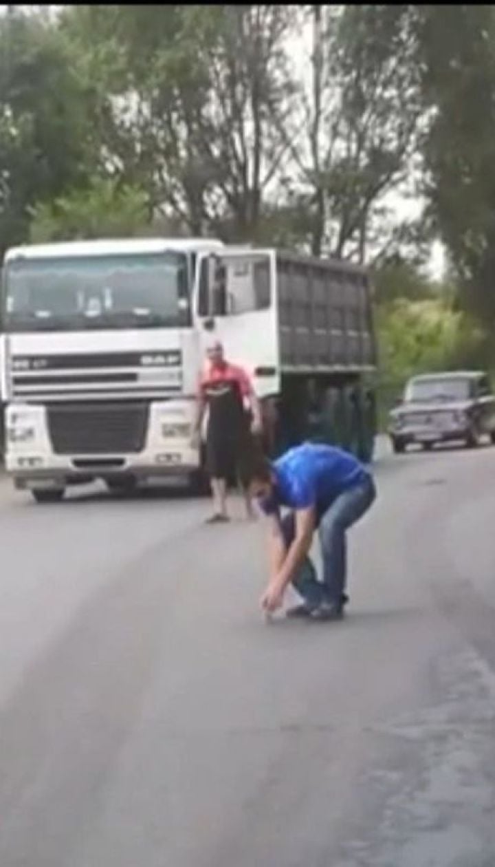 На Дніпропетровщині вантажівки зупинилися на дорозі, аби врятувати пташеня