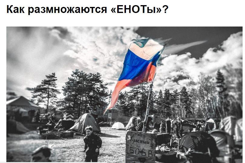 скрін сайт організації
