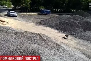 На Ровенщине депутат машиной давил "волка", который оказался породистой собакой