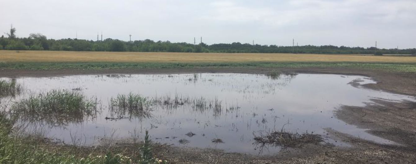 Жителі Донеччини жаліються на свинячі фекалії на городах