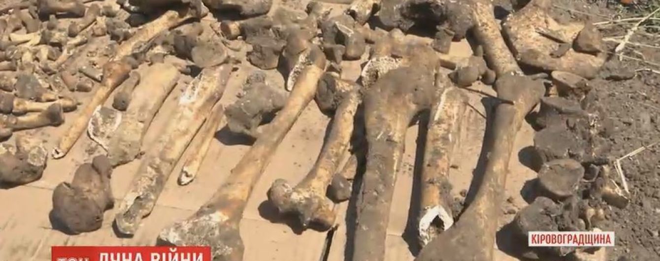 Біля Кропивницького випадково натрапили на братську могилу, заповнену боєприпасами