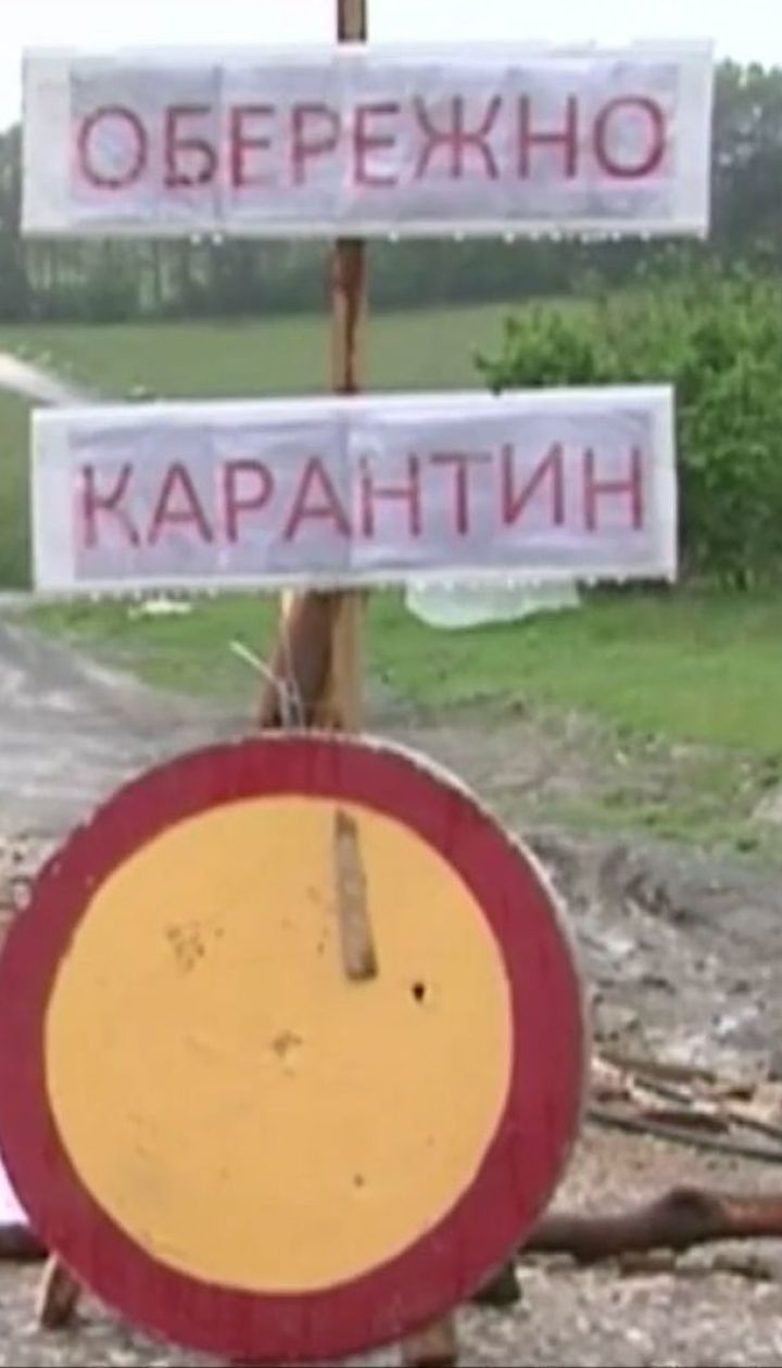 В Одесской области зафиксировали вспышку африканской чумы свиней