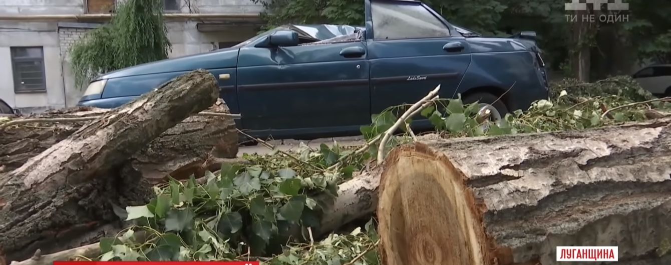 Тополь на машине и крыша за 200 метров от дома: в Рубежном еще полнедели будут ликвидировать последствия урагана