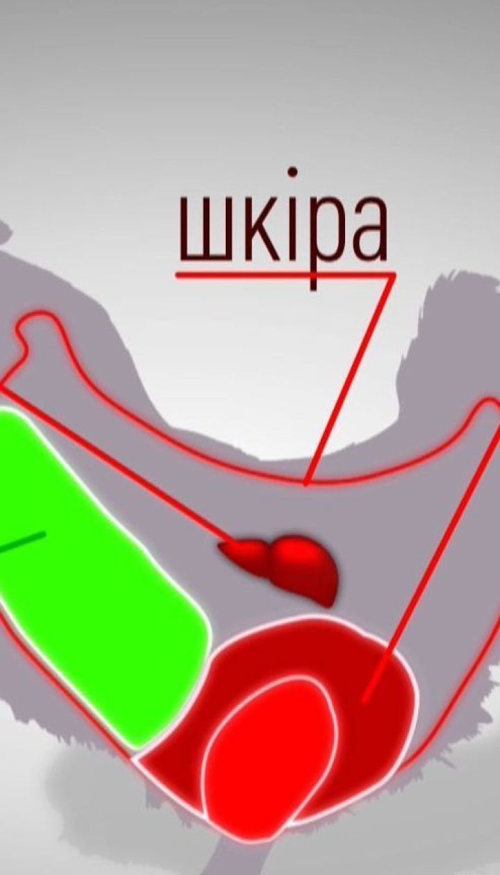 Почему курятина может стать причиной гибели миллионов людей
