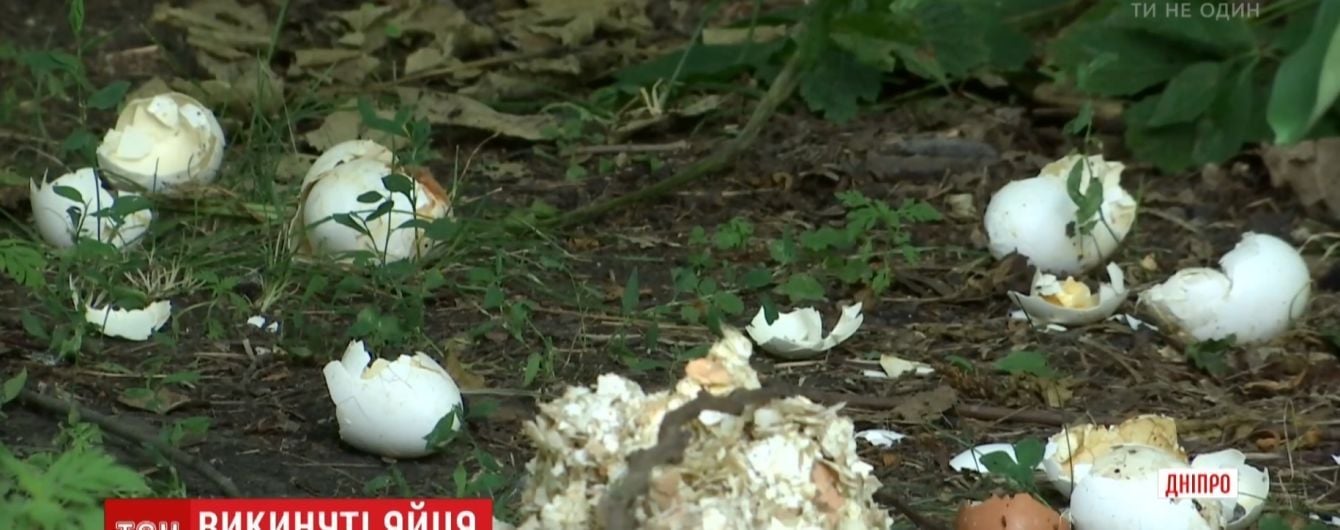 Мешканці Дніпра задихаються від смороду викинутих на околиці тисяч тухлих яєць