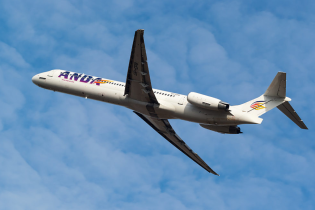 В Anda Air розповіли подробиці зіткнення літака зі зграєю птахів