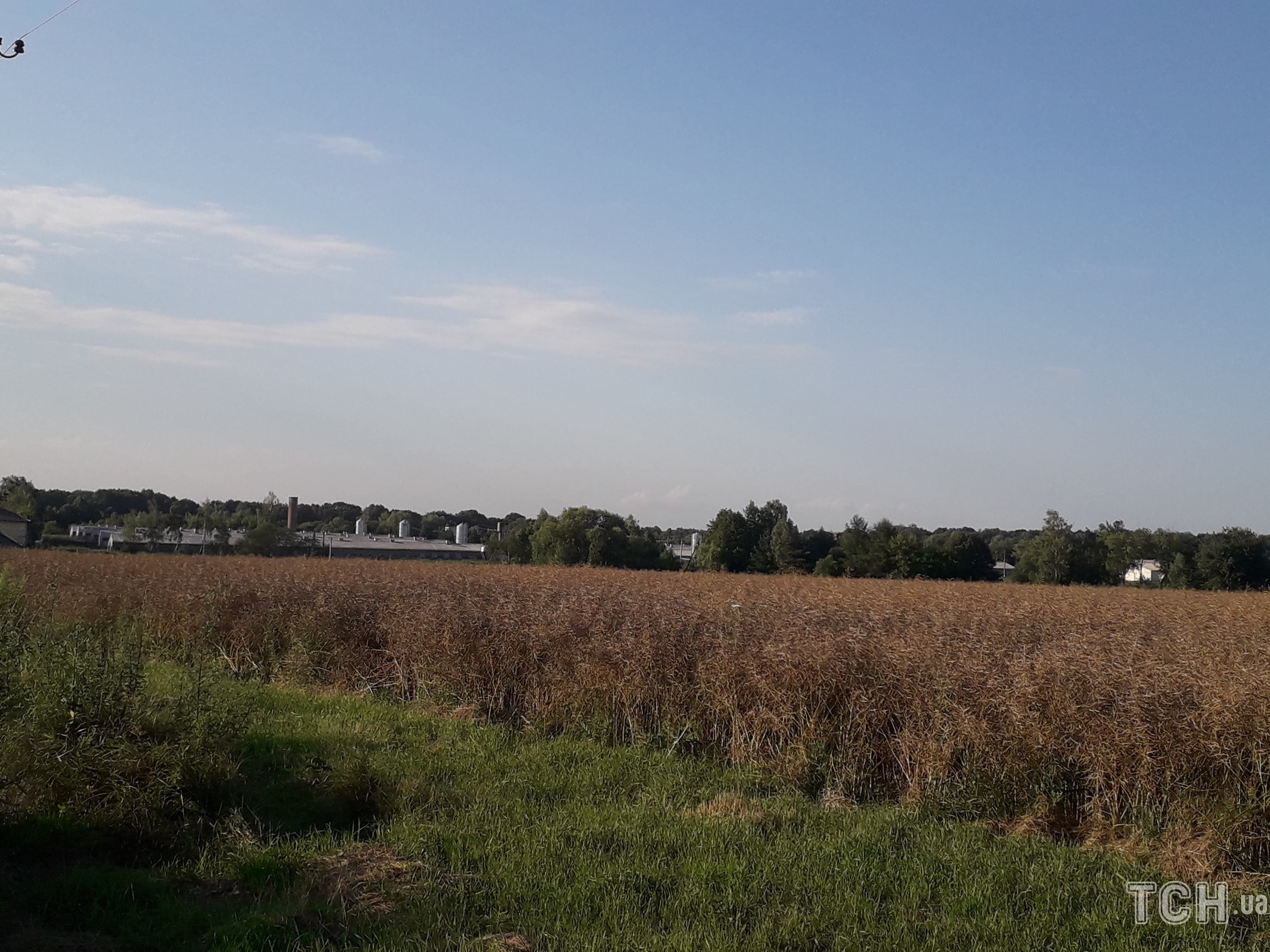 Село Ланівка, дорога, птахофабрика_1