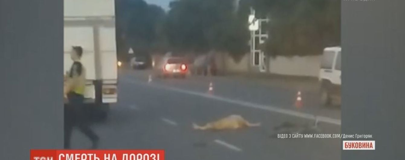 На Буковині водій мікроавтобуса на смерть збив велосипедиста