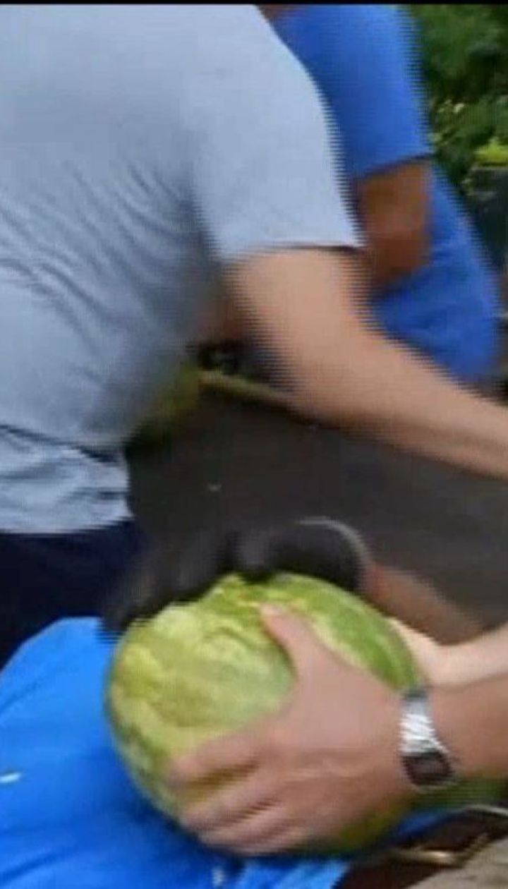   An American fell into the Guinness Book of Records by cutting off a watermelon sword 