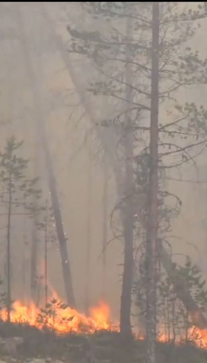 Від полярного кола до Балтійського моря. Масові лісові пожежі спалахнули у Швеції