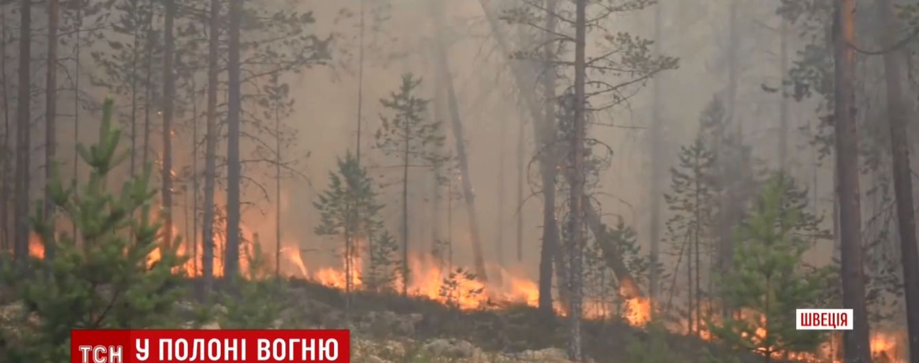 У Швеції горять ліси від полярного кола до Балтики