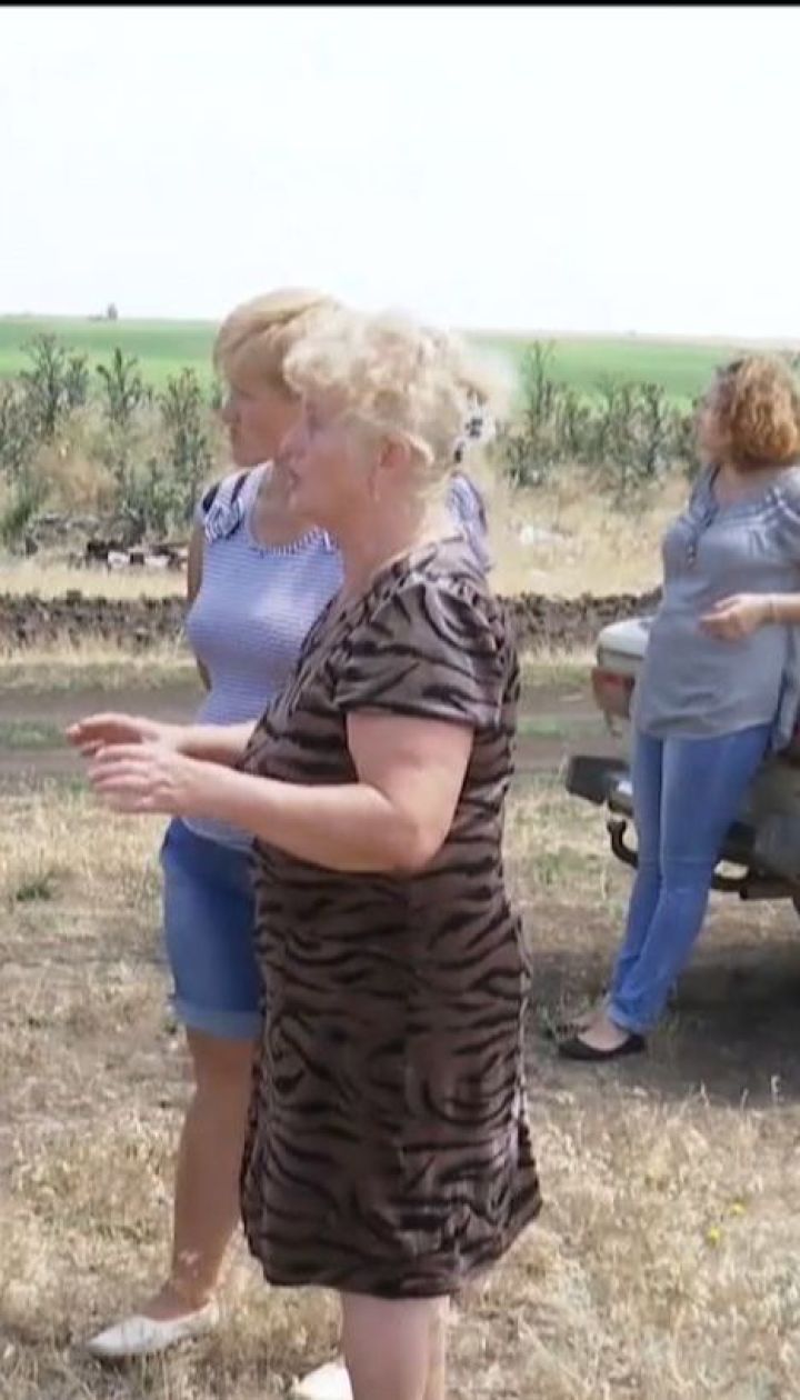 Власники худоби не хочуть віддавати частину пасовища на встановлення сонячних батарей