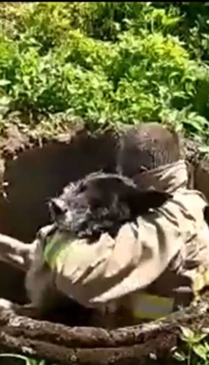 На Львовщине чрезвычайники вытащили старую собаку из колодца