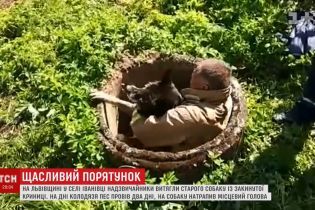 На Львівщині із дна закинутої криниці підняли собаку