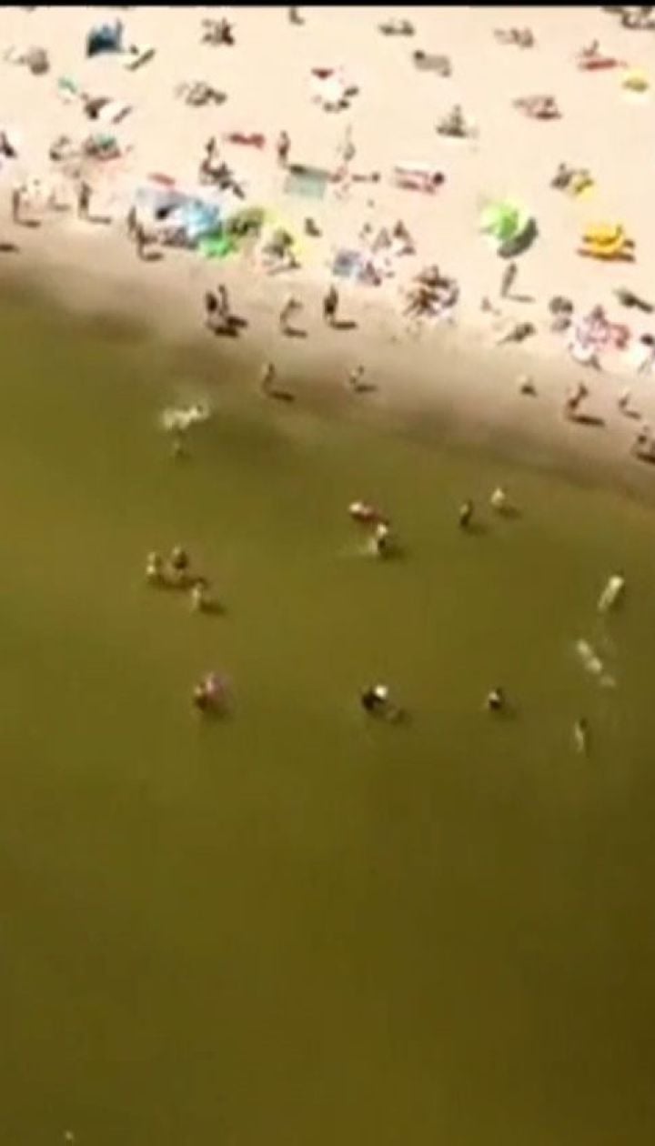 Токсичні водорості атакують Балтику
