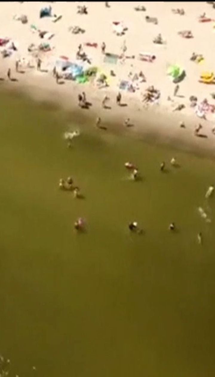 Токсичные водоросли атакуют Балтику