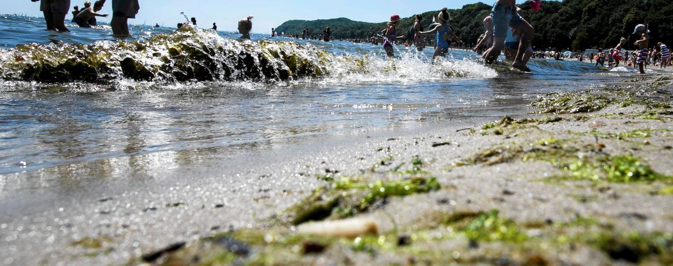 Балтийское море оккупировали токсичные водоросли