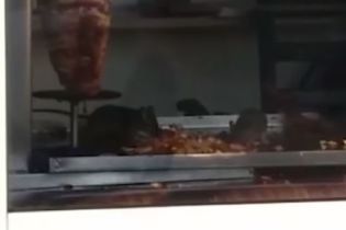 У центрі Самари на прилавку кіоску з шаурмою зняли на відео щурів, які бігають по м’ясу