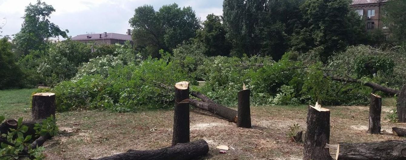 Подробности трагедии в Запорожье: отрубленная ветка дерева убила глухонемую женщину
