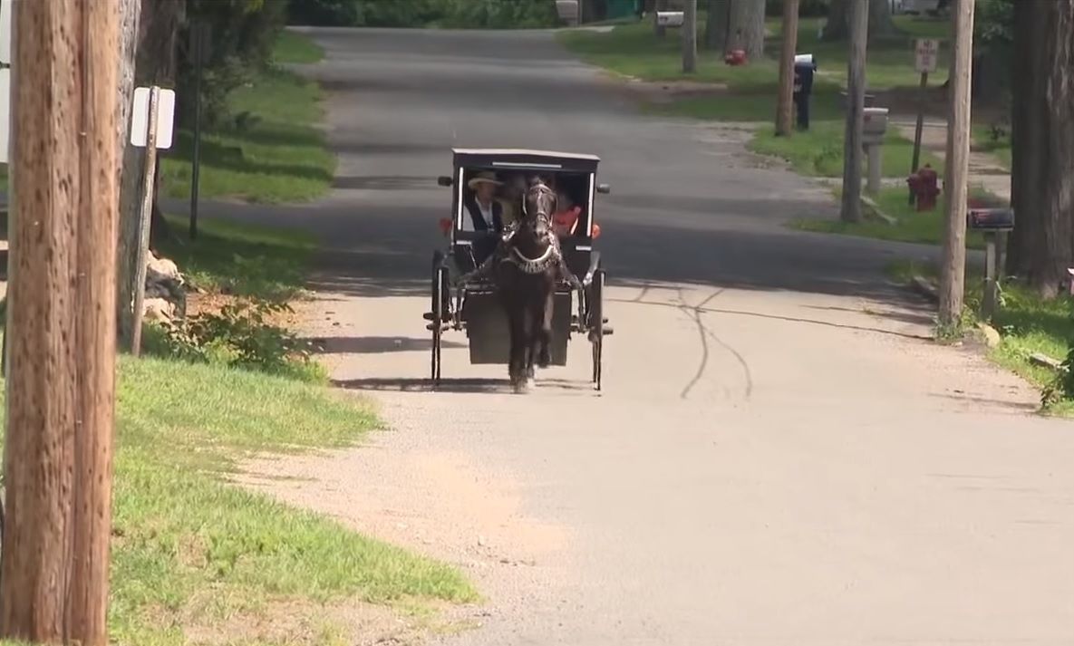 Uber, лошадь